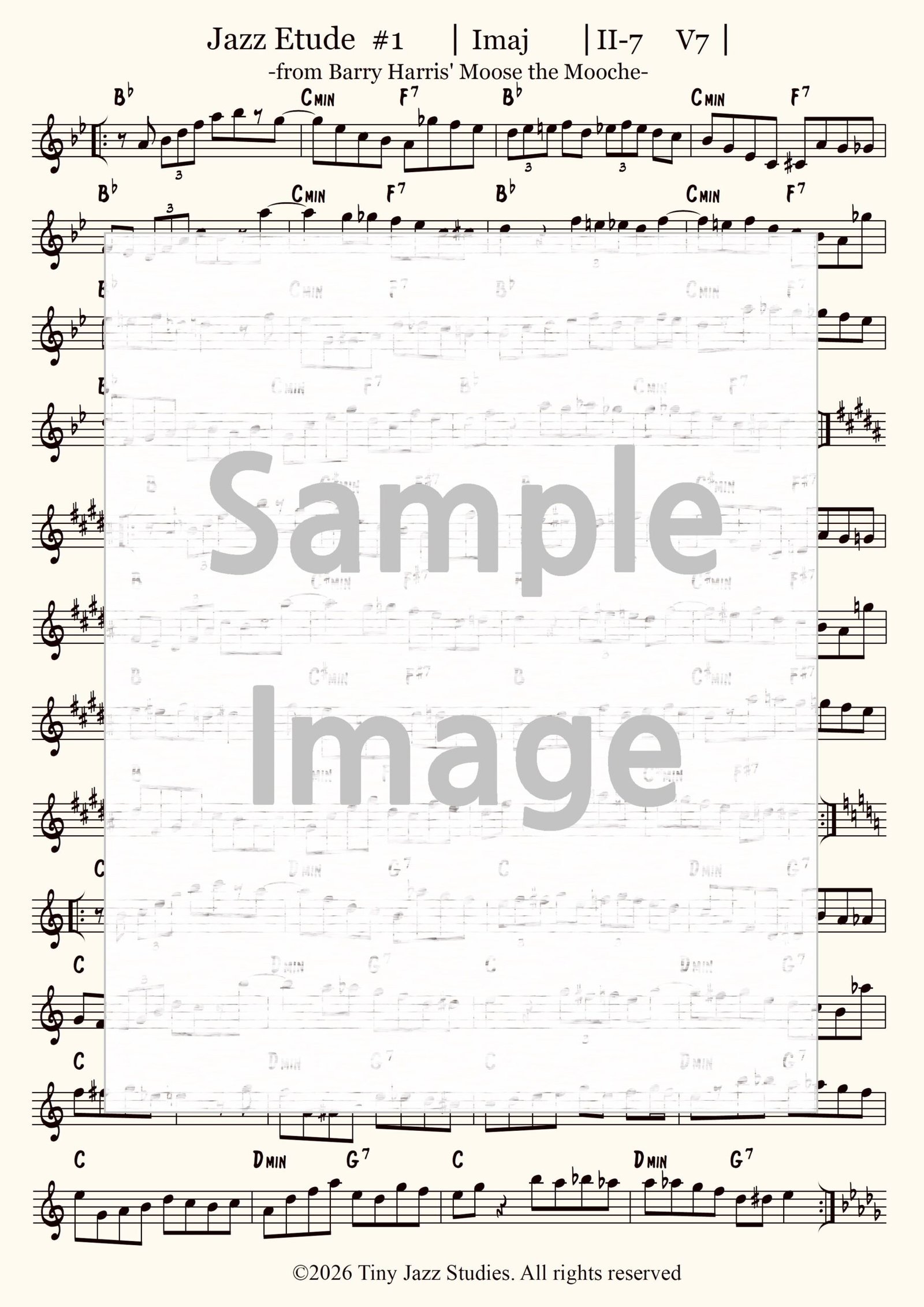 The Tiny Jazz Journal Vol. 1 - Image 7